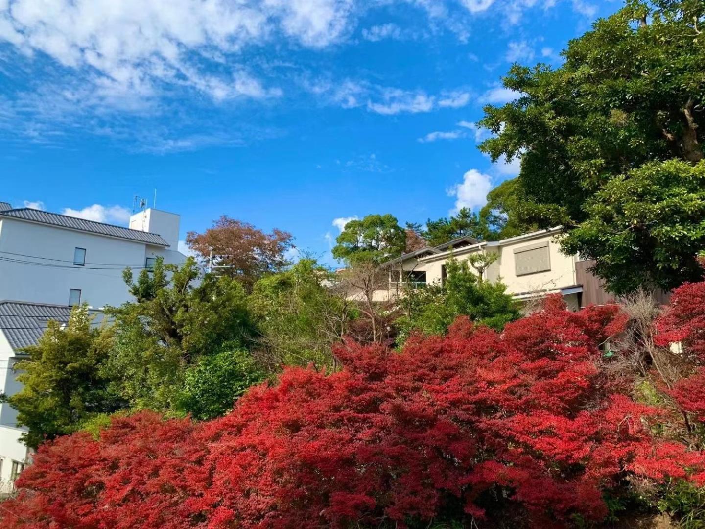 Hotel 雅竹miyabitake Miyakami Exteriér fotografie